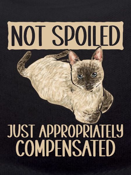 Siamese Cat Siamese Cat