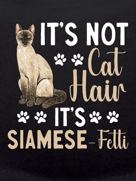 Siamese Cat Siamese Cat
