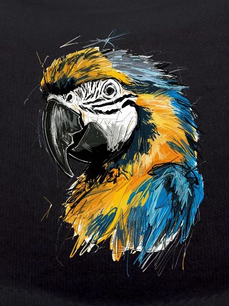 Parrots Art Drawing Abstract