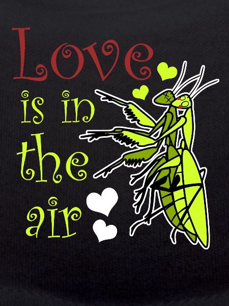 Praying Mantis Love