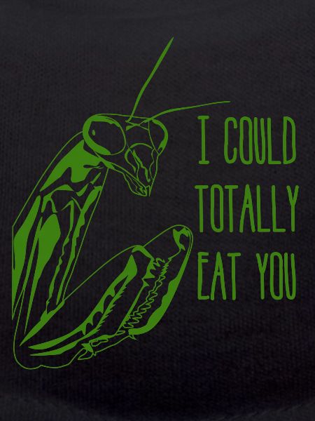 Praying Mantis Joke