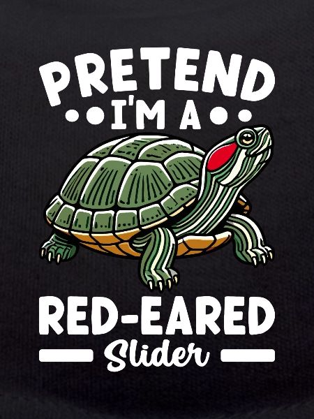 Turtle Red-eared Turtle