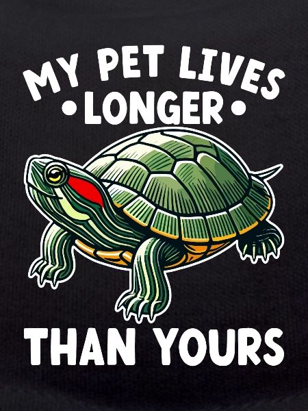 Turtle Red-eared Turtle