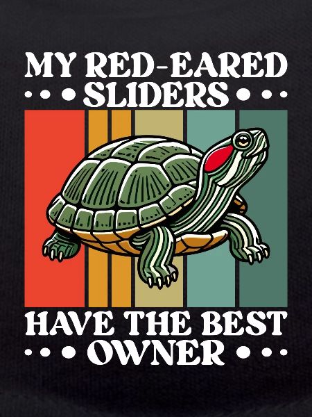 Turtle Red-eared Turtle