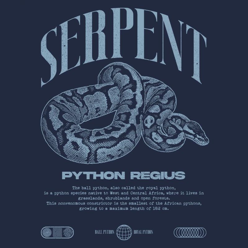 Ball Python Modern Reptile Keeper Streetwear
