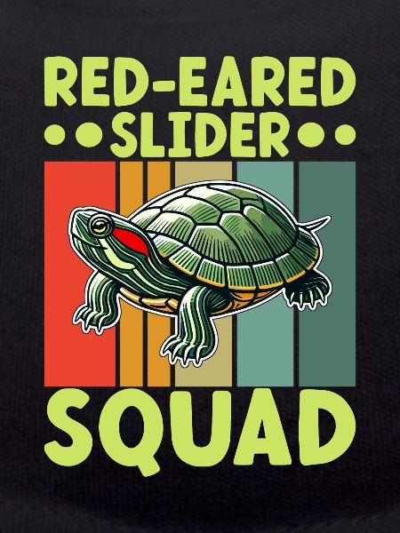 Turtle Red-eared Turtle