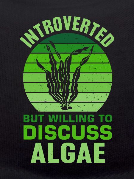 Seaweed Algae