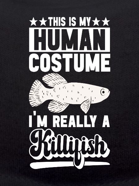 Killifish Quarium Fish