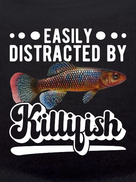 Killifish Quarium Fish
