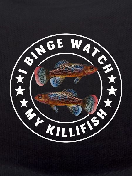 Killifish Quarium Fish