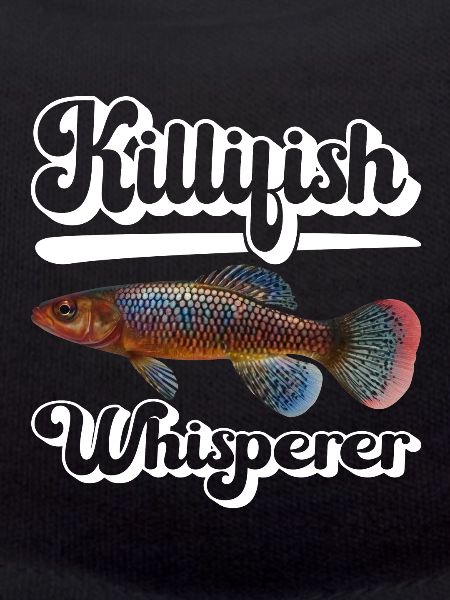 Killifish Quarium Fish