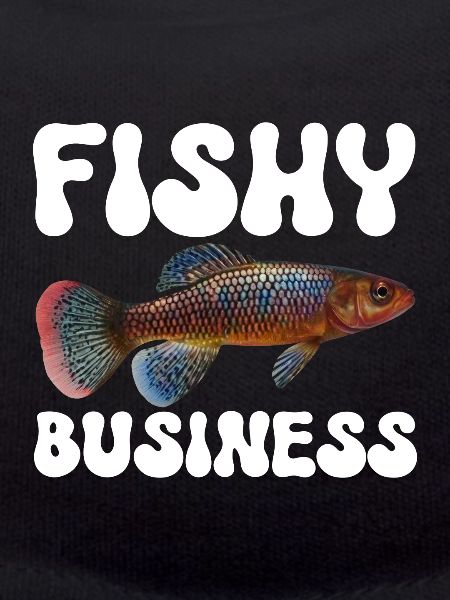 Killifish Quarium Fish