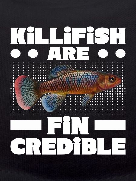 Killifish Quarium Fish
