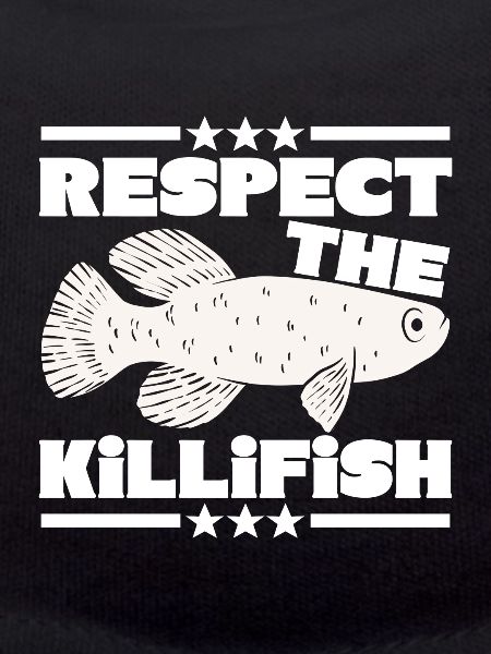 Killifish Quarium Fish