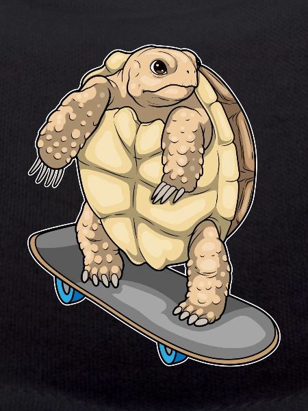 Turtle Skater Skateboard