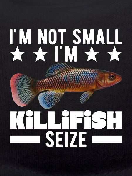 Killifish Quarium Fish
