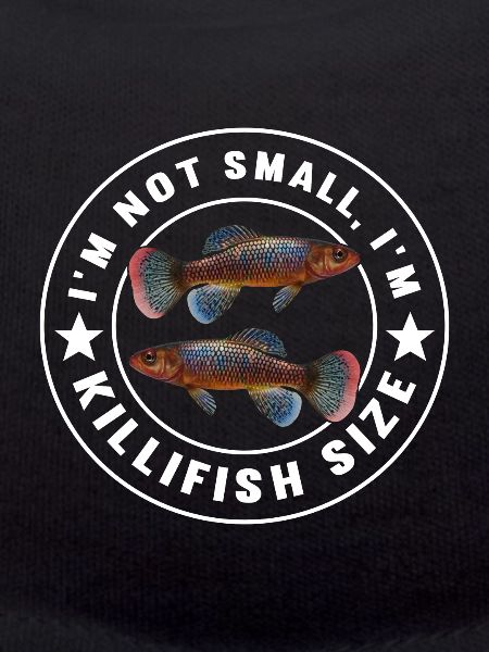 Killifish Quarium Fish