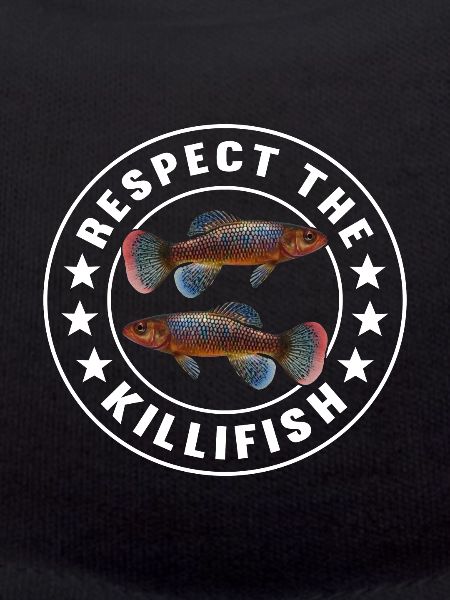 Killifish Quarium Fish