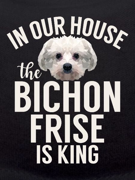 Cadeaux Bichon Frisé