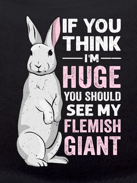 Lapin géant flamand Lapin Lapin