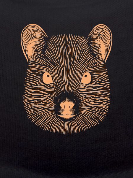 Chinchilla Fingerprint