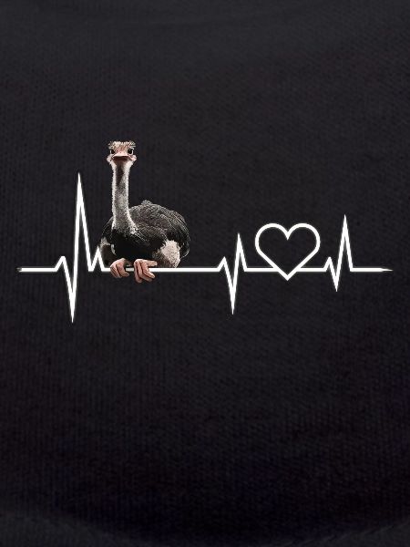 Ostrich