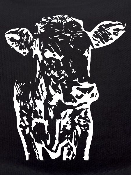 Vache