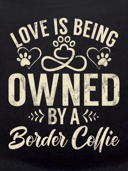 Cadeaux Border Collie