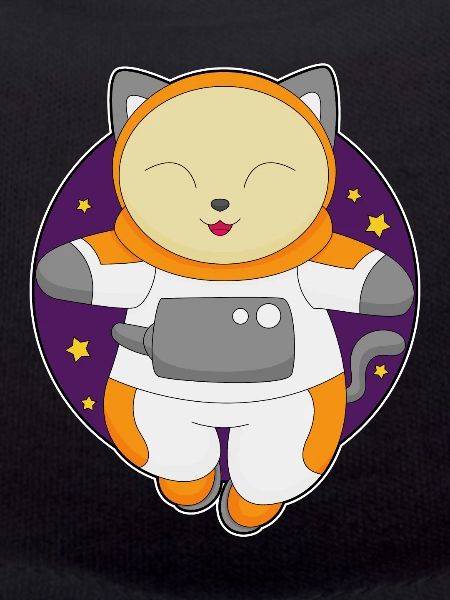 Cat Astronaute Espace
