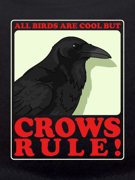 Crows Ravens Birds Gift