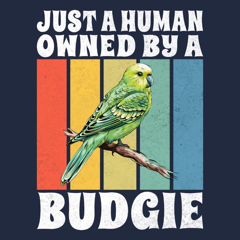 Budgie Gift