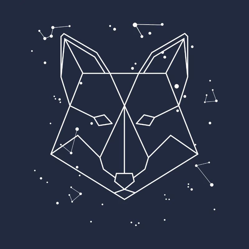 Sternbild Fuchs Sternbild Caninae Rotfuchs