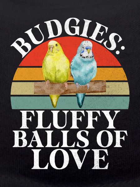 Budgie Gift