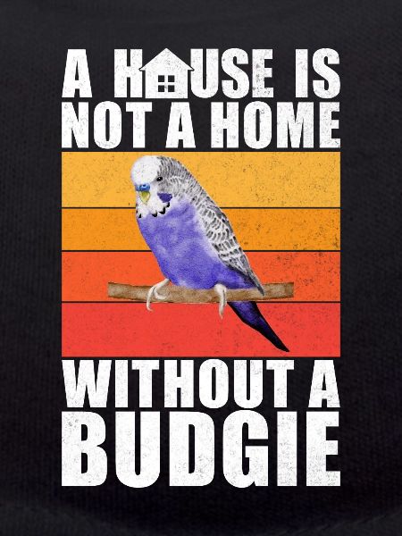 Budgie Gift