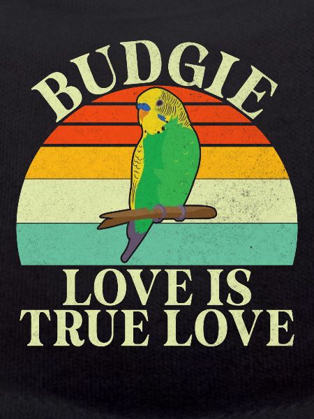Budgie Gift