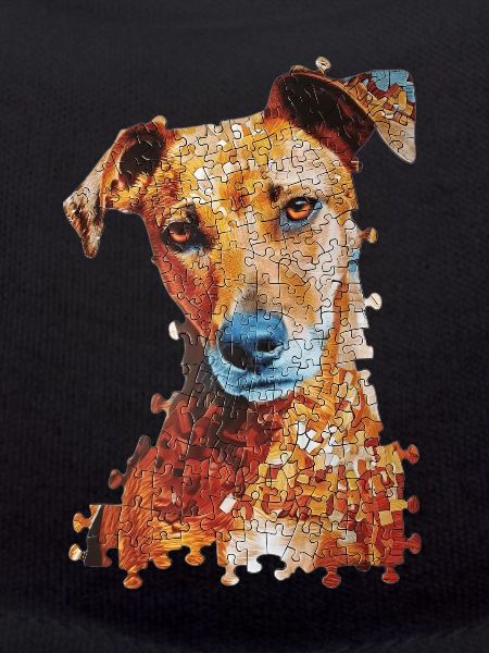 Chien