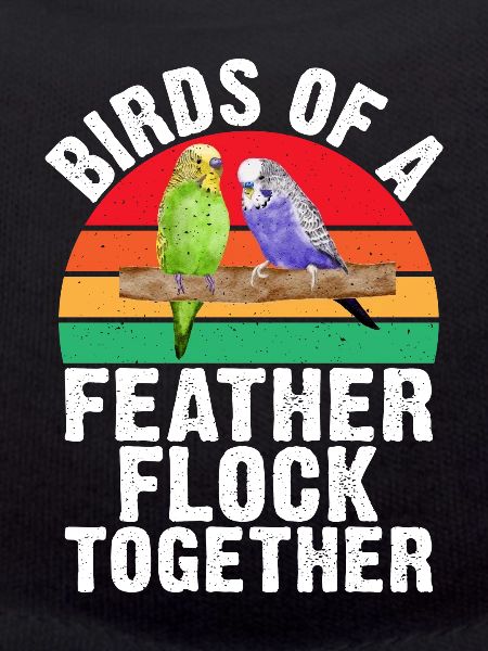 Budgie Gift