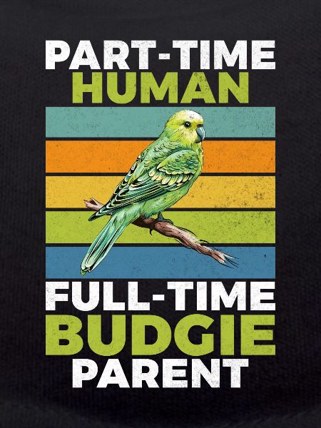 Budgie Gift
