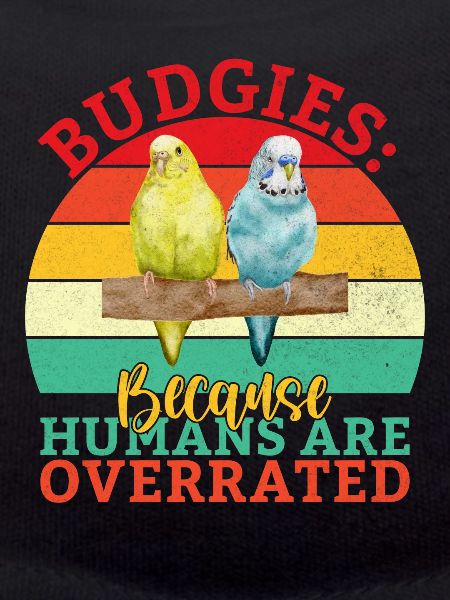 Budgie Gift