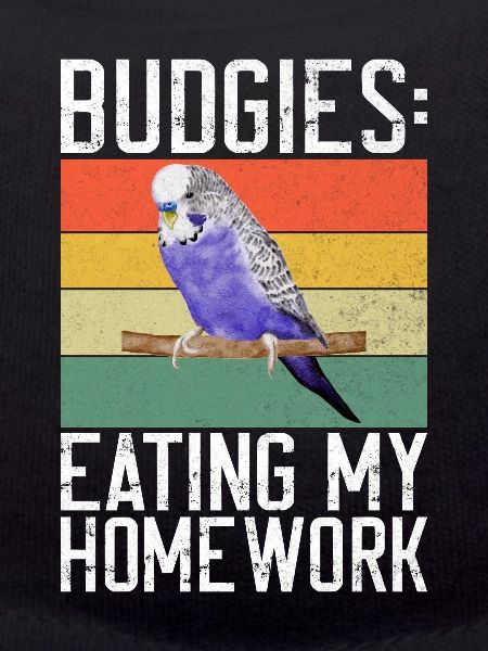 Budgie Gift
