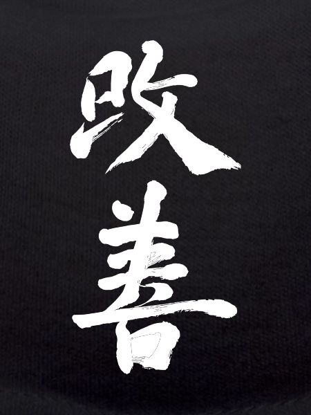 Kaizen Improvement: Continuous Progress