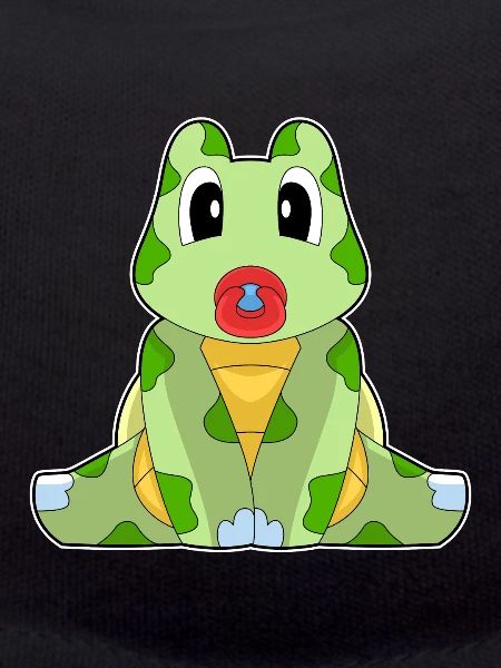 Turtle Baby Pacifier