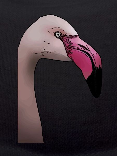 Flamingo - design d’animal oiseau