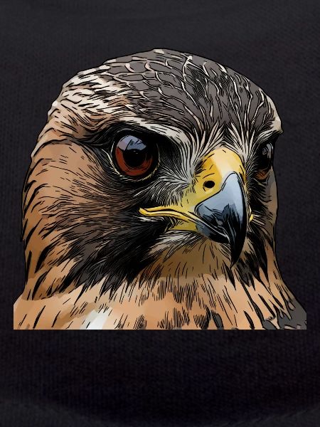 Falcons