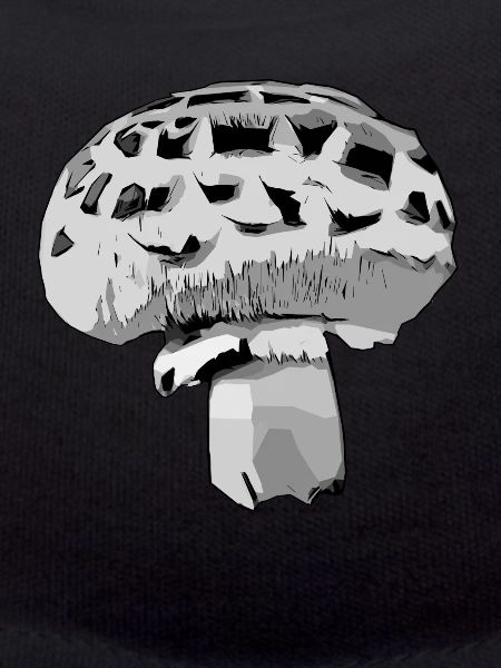 Gray Champion