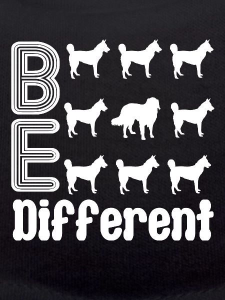Australian Shepherd Be Different