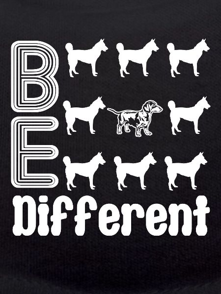 Dachshund Dachshund Be Different