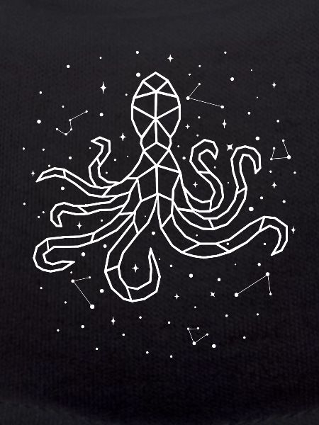 Sternbild Octopus Constellation Octopodes
