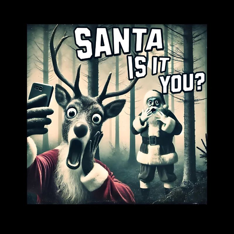 Chats Selfie Père Noël