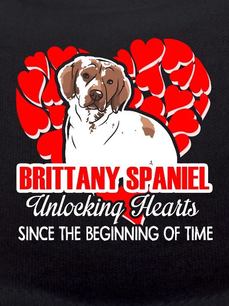 Brittany Spaniel Unlocking Hearts